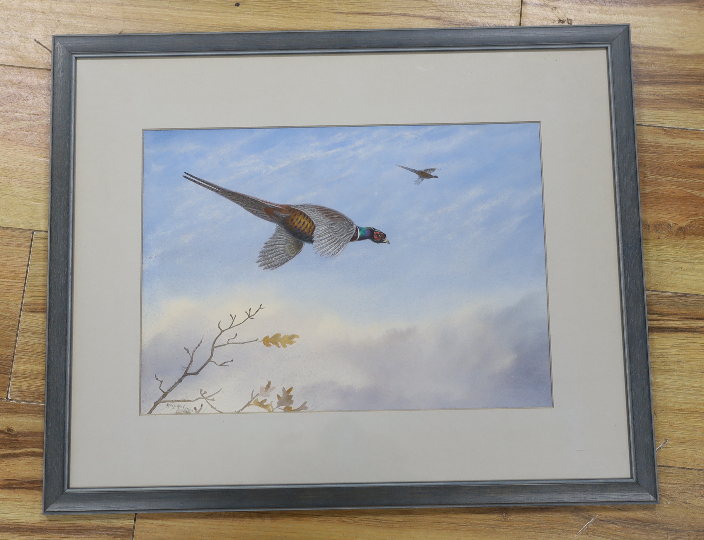 Philip Charles Rickman (1891-1983), watercolour, Pheasants in flight, signed, 26 x 36cm